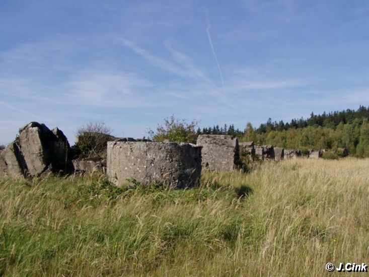06.jpg