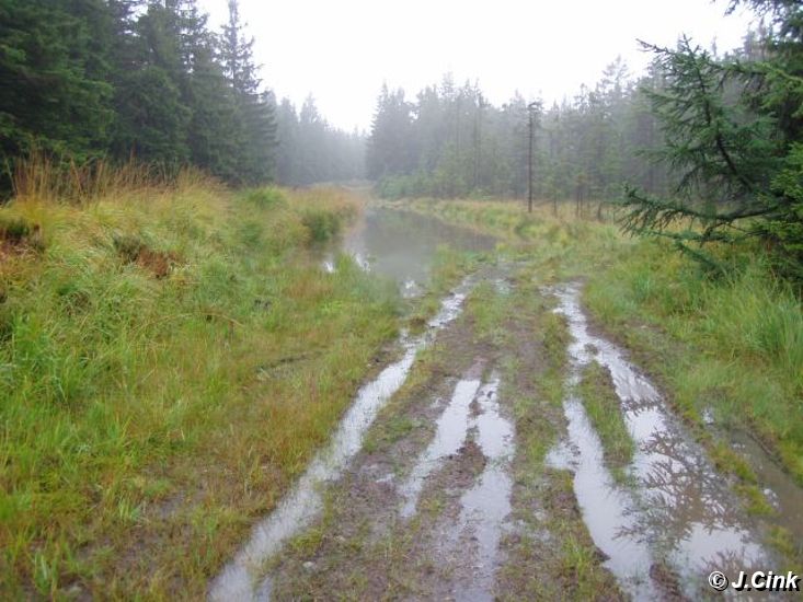 04.jpg
