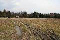 IMG_7116_.jpg