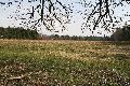 IMG_7141_.jpg