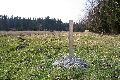IMG_7159_.jpg