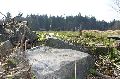 IMG_7164_.jpg