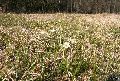 IMG_7169_.jpg