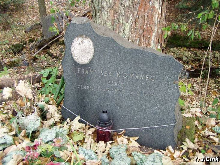 09.jpg