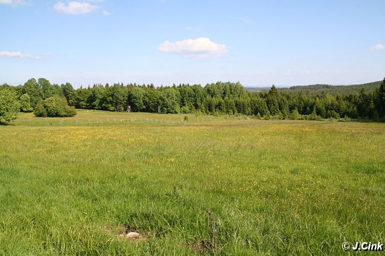 09.jpg