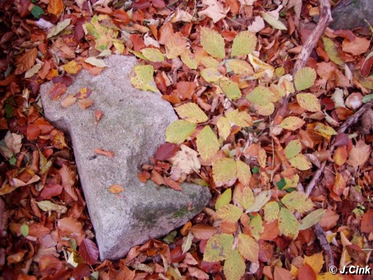 01.jpg