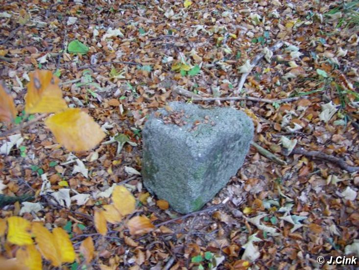 04.jpg