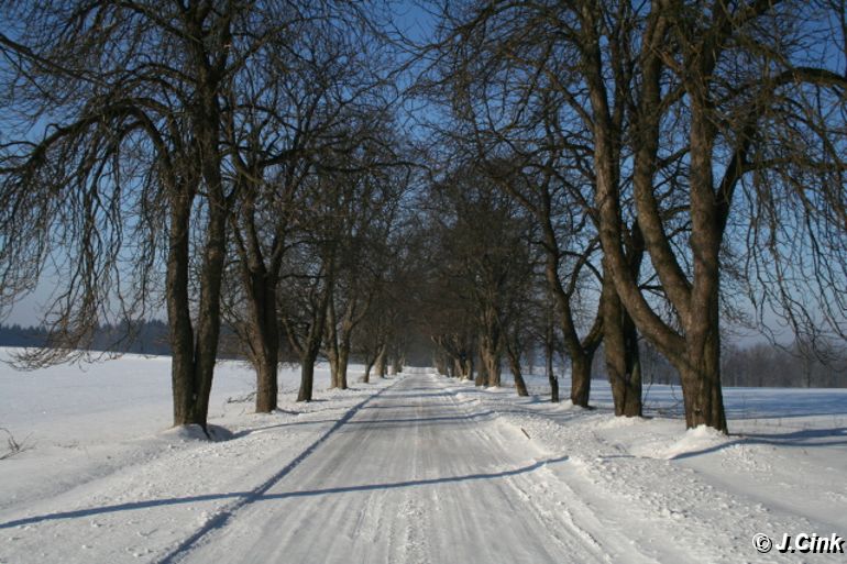 08.jpg